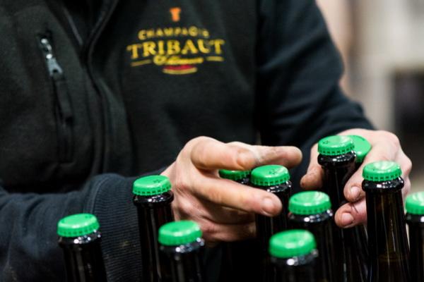 Champagne Tribaut