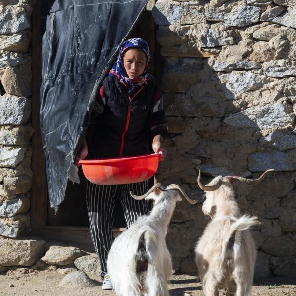 Ladakh