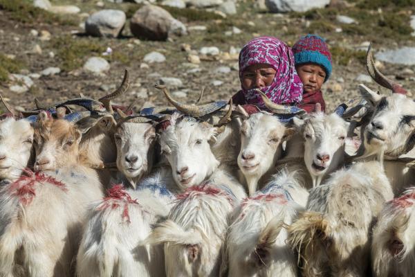 Ladakh