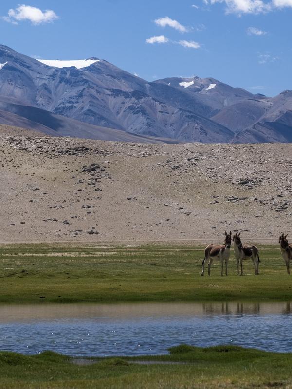 Ladakh