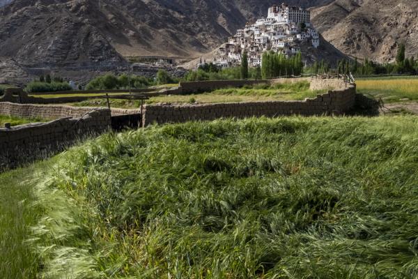 Ladakh