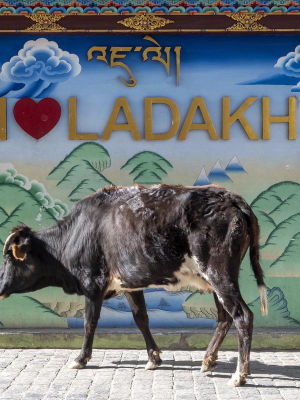 Ladakh