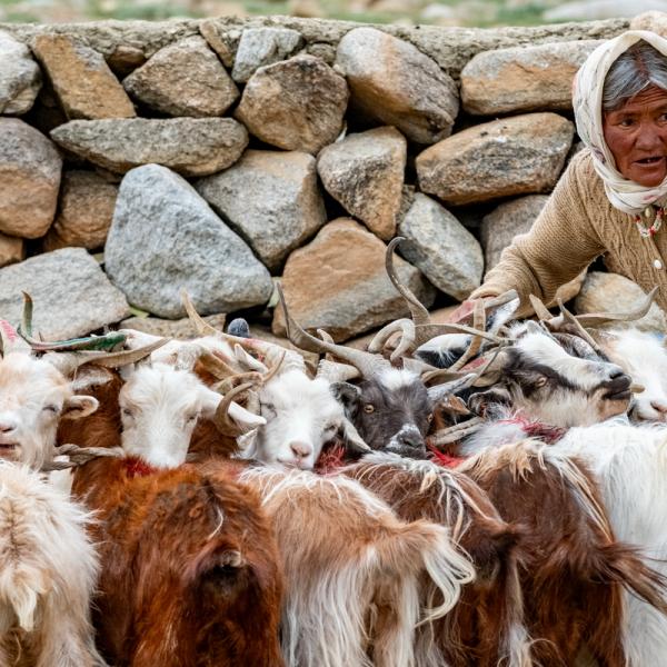 Ladakh